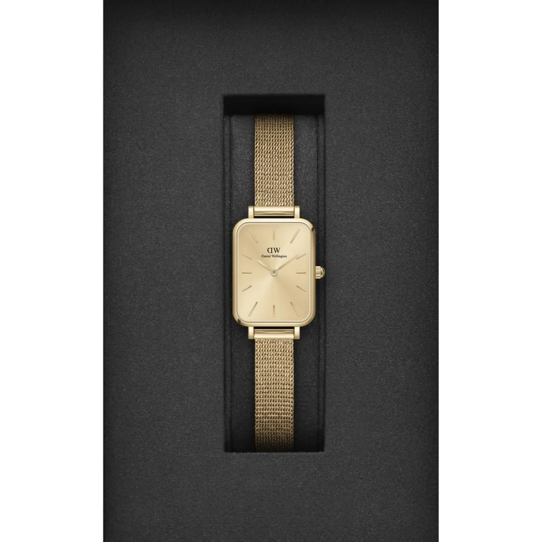 Daniel Wellington Gold Dial Women Analogue Watch - DW00100485