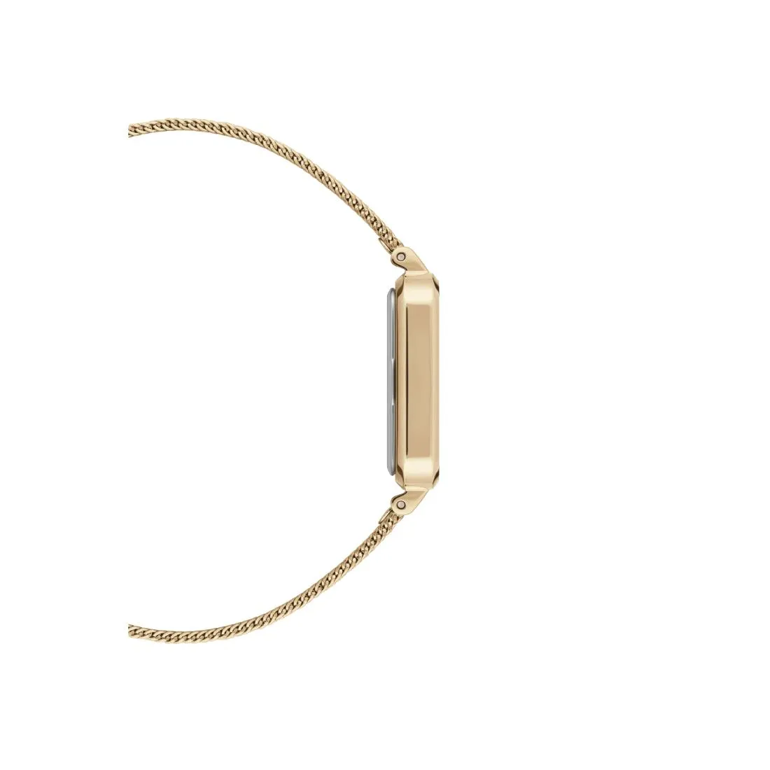 Daniel Wellington Gold Dial Women Analogue Watch - DW00100485