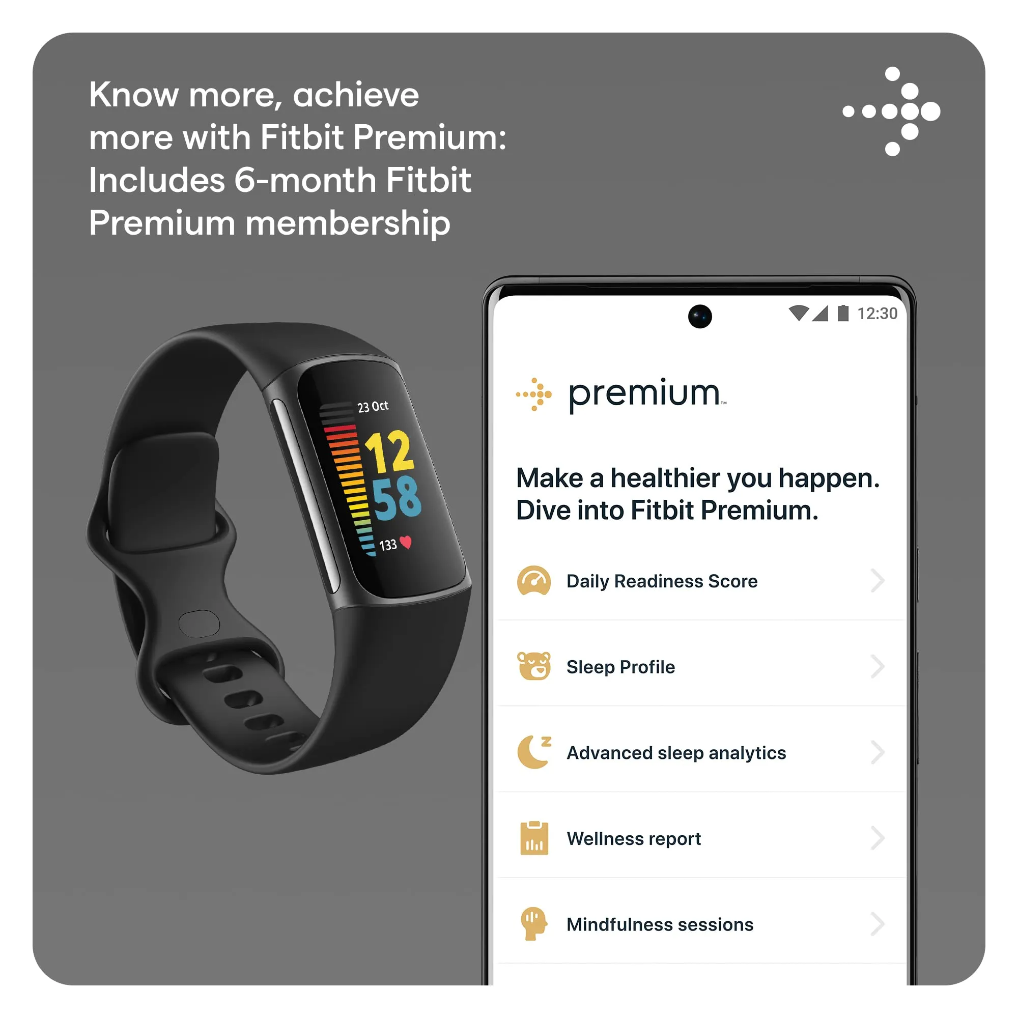 Fitbit Charge 5 Fitness Wristband (FB421) (Black / Graphite)